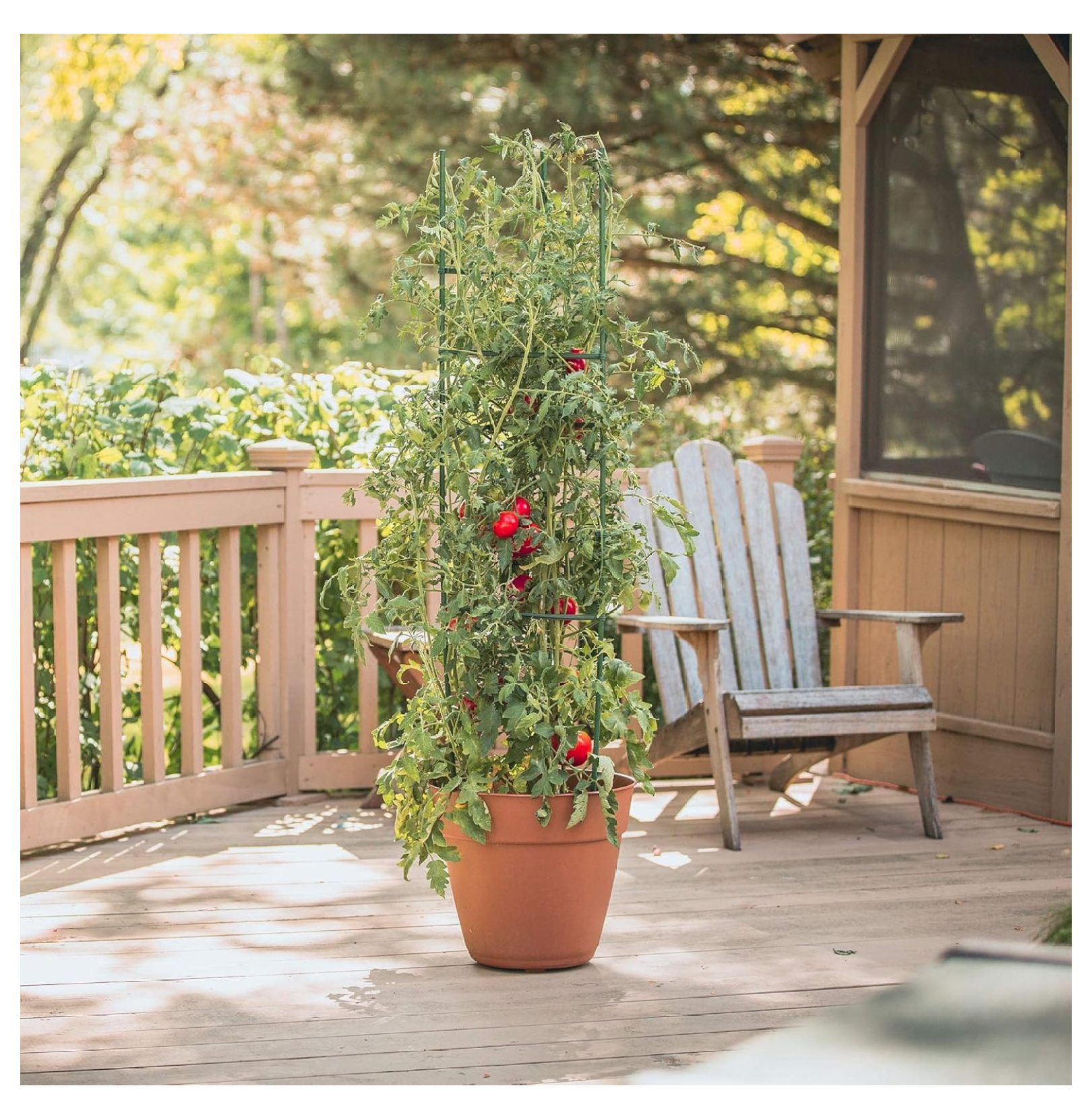 Tomato Plant Cages 3-Pack, 5ft - Ultomato Tomato Cage System, Green Plant Support for Vegetables, Flowers, Climbing Plants - Garden Stakes