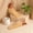2 Wood Colors, variant on Set of Two Solid Wood Door Stoppers with Enhanced Design to Prevent Slamming, Adjustable Over-the-Door Wood Bumper Featuring Bottom Non-Slip Pads for Bedroom and Home Use
