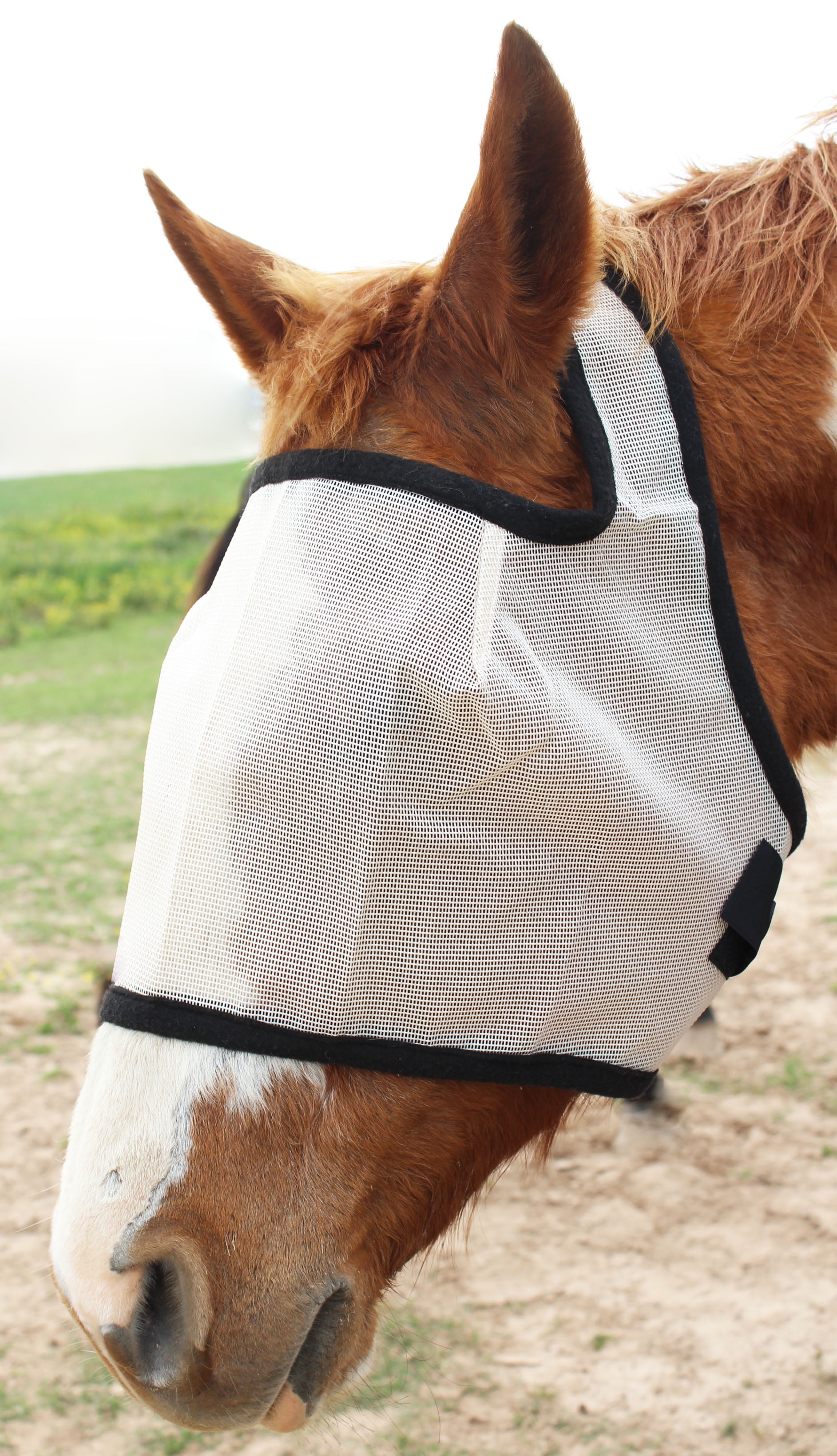 Equine Horse Fly Mask Summer Spring Airflow Mesh UV Mosquitoes 73228