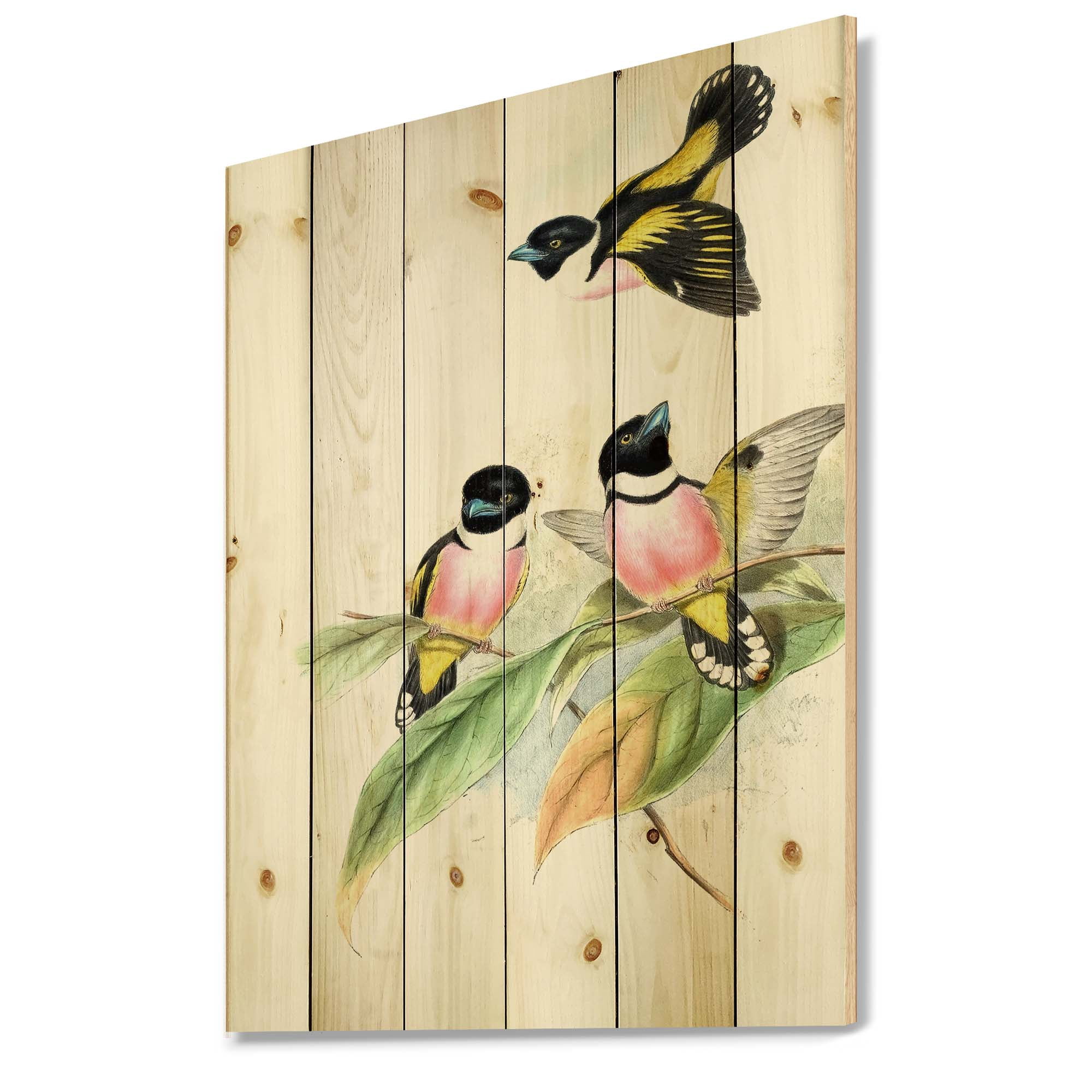 Designart 'Ancient Birds III' Traditional Print on Natural Pine Wood