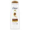 Dove Nutritive Solutions Anti Frizz Shampoo Oil Therapy with Nutri-Oils 12 oz