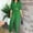 Green, variant on Idoravan Women Sets Clothing Womens Casual Fashion Solid Color Drawstring Top High Waist Workwear Straight Leg Pants Commuting Two-piece Set