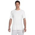 thumbnail image 1 of Hanes T-Shirt 4 oz. (4820) Blanc, TP, 1 of 1