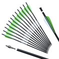 thumbnail image 1 of REEGOX 20 inch Crossbow Bolts Bio with 4-Inch Vanes(Pack of 12), 1 of 4