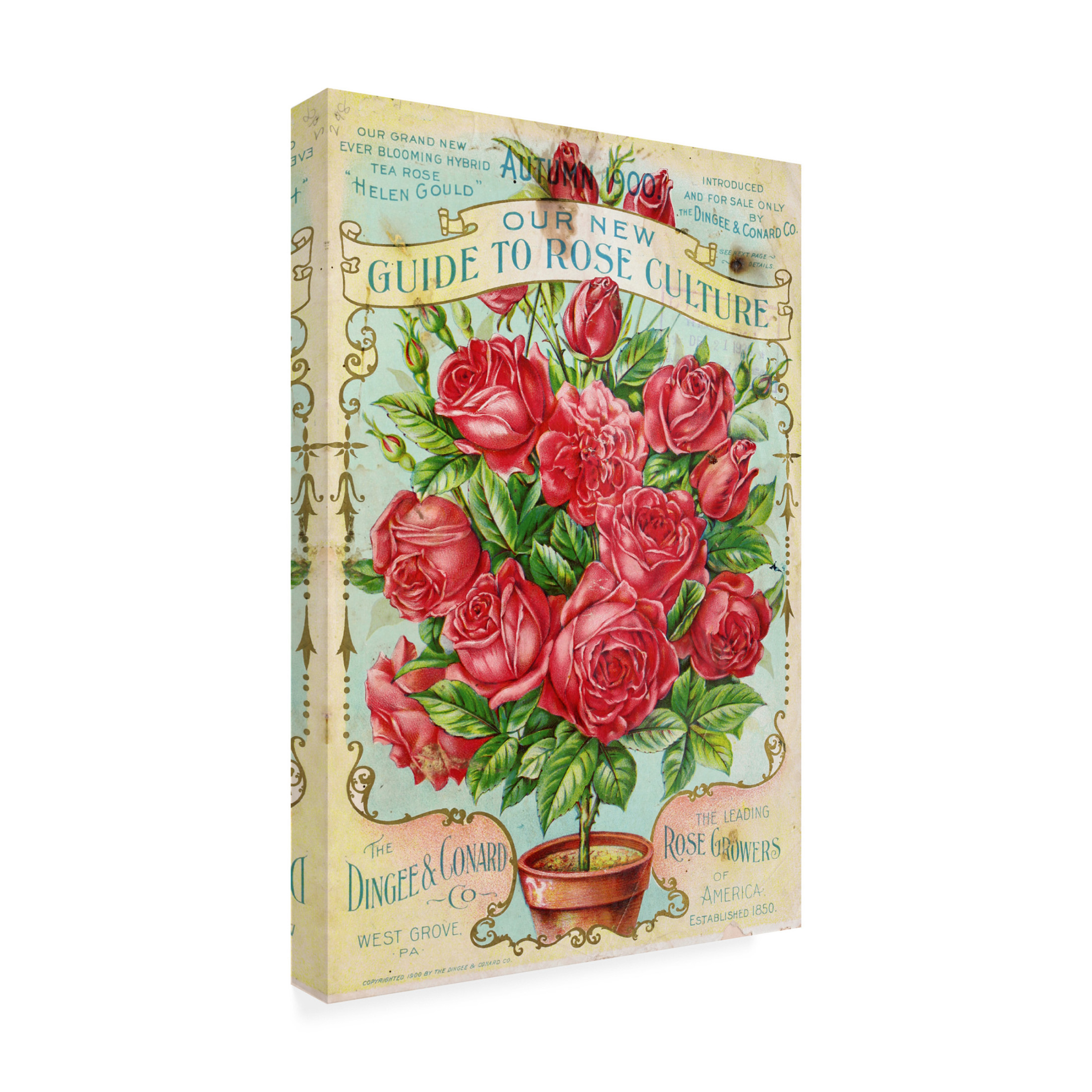 Canvas Wall Art - Vintage Apple Collection 'Rose Culture' Wall Art for Living Room, Bedroom, or Office Décor by Trademark Fine Art - 16 x 24 Inches