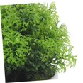 thumbnail image 5 of Planta Artificial en maceta, decoración de bonsái Artificial, adornos de plantas artificiales, planta de simulación, flor Artificial en maceta falsa, 5 of 5