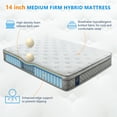 thumbnail image 3 of Queen Rose 14 Inch Pocket Spring and Memory Foam Full Size Medium Firm Pillow Top Hybrid Mattress with Mattress in a Box, 3 of 11