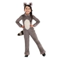 thumbnail image 1 of Toddler Girl's Raccoon Costume, 1 of 2