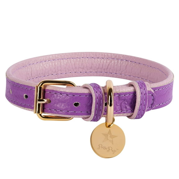 PoisePup Pet Dog Collar - Lavish Lavander