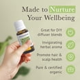 thumbnail image 4 of Pranarom Rosemary Cineole Essential Oil 15ml USDA Organic Therapeutic Grade for Aromatherapy & Massage, 4 of 5