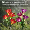 thumbnail image 4 of LINLIN Outdoor Solar Lamp Garden Stake Lights,2 Pack Solar Flower Lights with 8 Lily Flower, Multi-Color Changing LED Solar Landscape Lighting Decoration Light for Garden,Patio,Backyard, 4 of 9