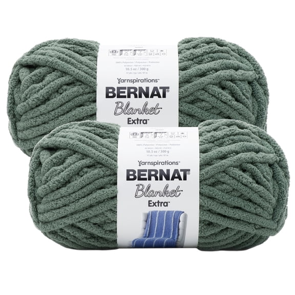 (Pack of 2) Bernat Blanket Extra Yarn-Smoky Green