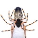 thumbnail image 2 of Traje de mochila de araña de Halloween Traje de araña colorido con correa y bolsillo kaili Sencillez, 2 of 2