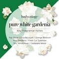 thumbnail image 4 of Bodycology Pure White Gardenia Fragrance Mist for Women 8 Oz/ 237 Ml - Spray, 8 Fl Oz (455004007), 4 of 4