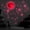 Pink, variant on Wall Stickers, Glow in The Dark Stars, Glow in The Dark Moon for Ceiling Planets Space Wall Stickers Solar System Galaxy Wall Decals 1049PCS(Blue-moon-20CM)