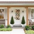 thumbnail image 4 of ROMSWI Artificial Cedar Tree 2 Pack 4 ft Tall Faux Cedar Topiary Plant Fake Lifelike Potted Pine for All-Season Home Office Porch Entryway Decor, 4 of 9