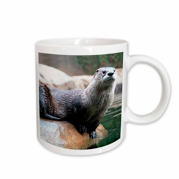 3drose, Otter, 15oz Mug