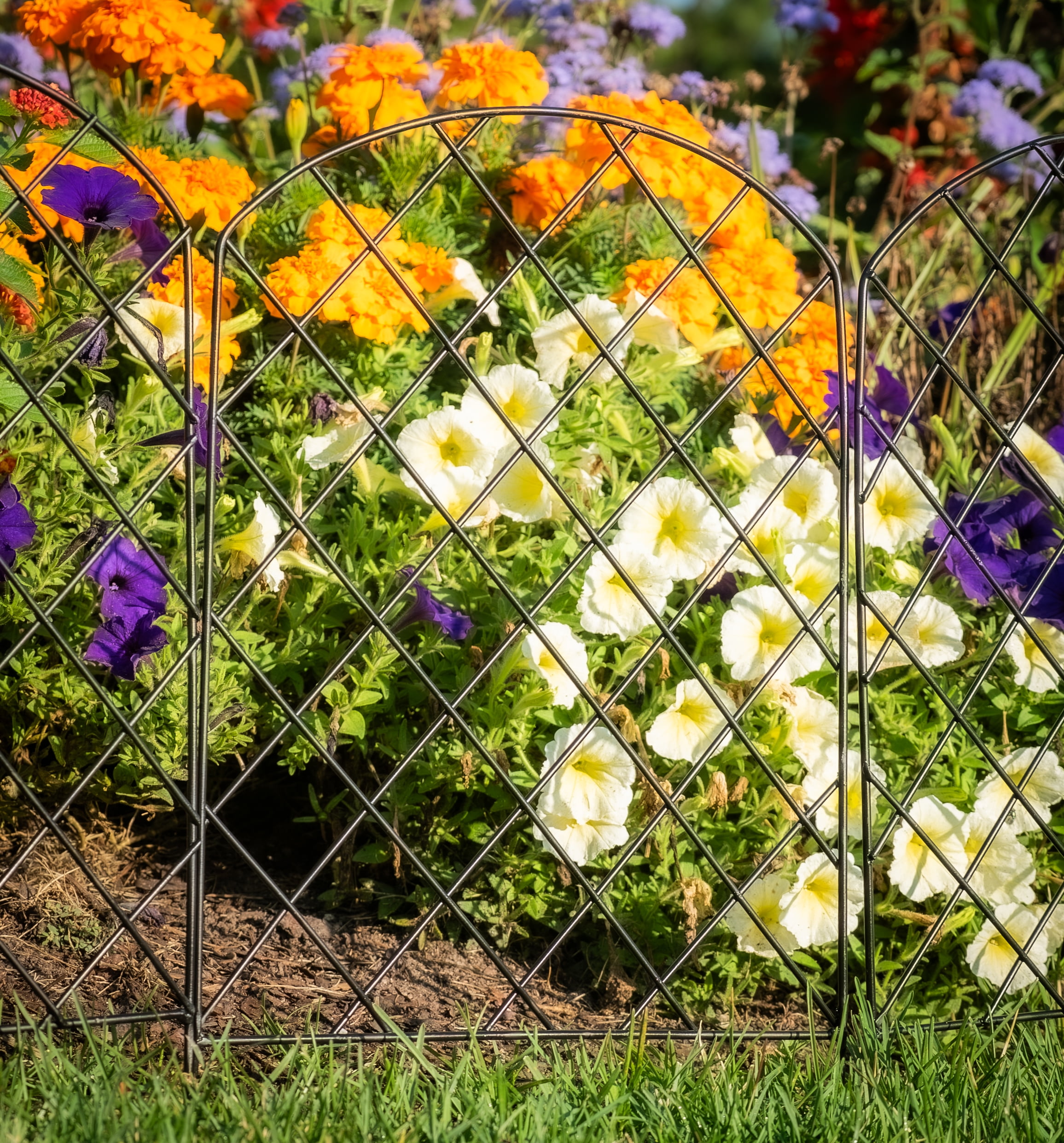 Glamos Wire 12 inch wide Arched Metal Decorative Fence 6 panels covers 6 plus feet