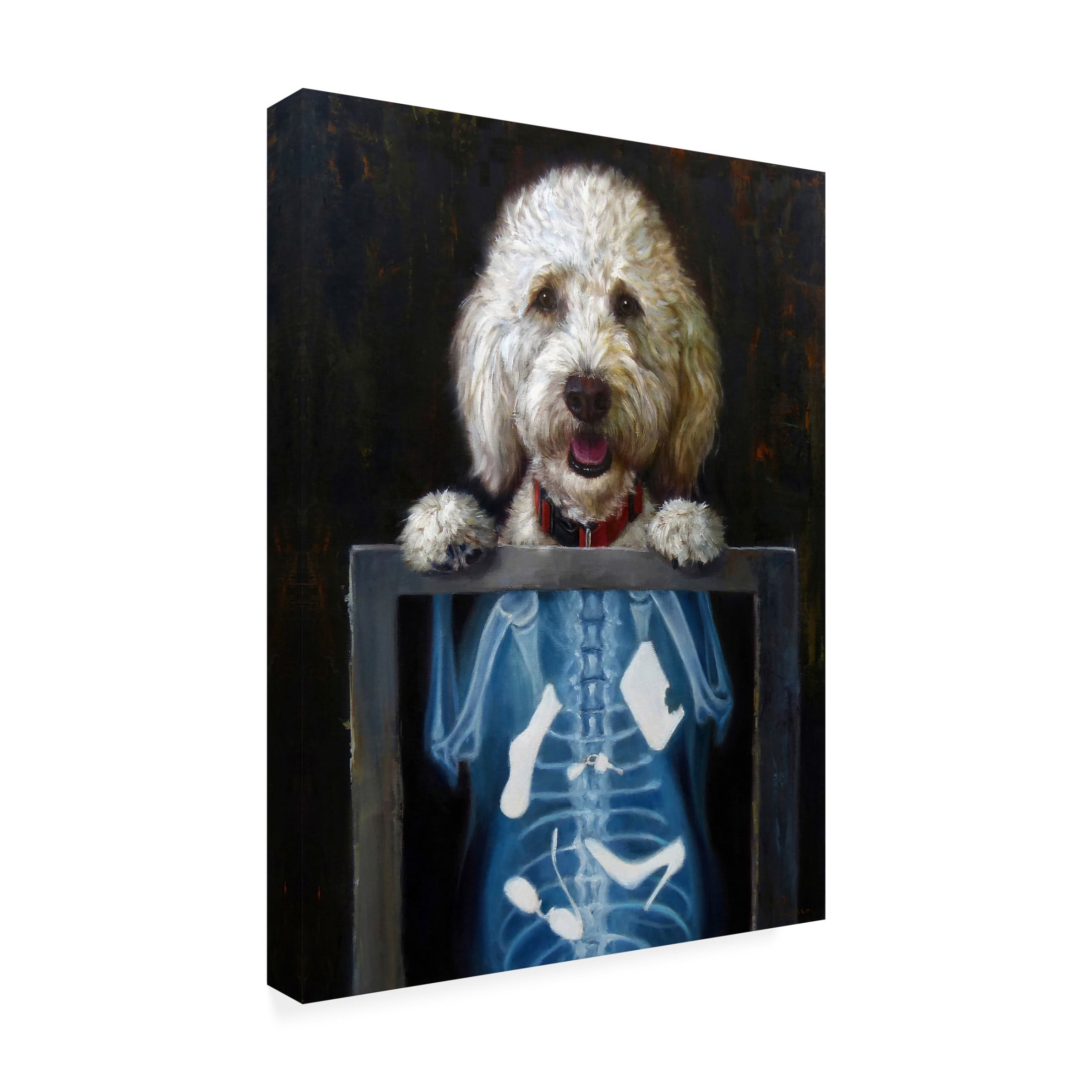 Canvas Wall Art - Lucia Heffernan 'Inside Story' Wall Art for Living Room, Bedroom, or Office Décor by Trademark Fine Art - 14 x 19 Inches