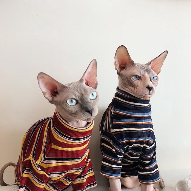 HEVIRGO Chemise pour Animaux de Compagnie à Col Haut Chat à Manches Courtes à Manches Courtes Vêtements à Rayures pour l'Automne Hiver, Rouge XS