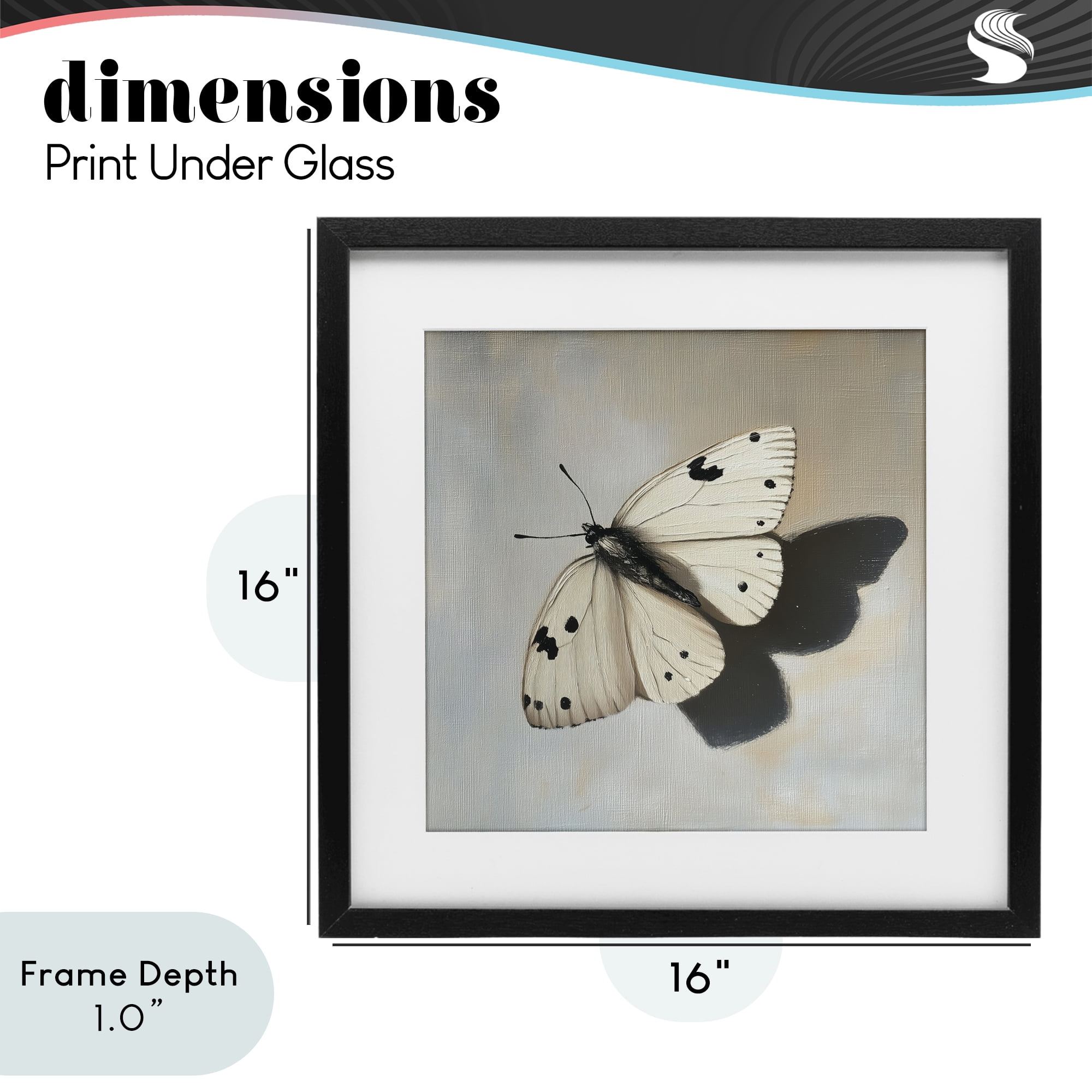 Stupell Industries Velvet's Butterfly Wings Black Framed Print Under Glass, design by Svetlana Aleynikova