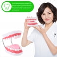 thumbnail image 3 of Shisuyan 1pc Tooth Aid For Teeth Cleaning With Toothbrush For Education And Brushing Demonstration Safe And Plaything, 3 of 9