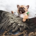 thumbnail image 3 of Rocae Noble Style Bald Eagle for Pet Blanket Dog Blanket Cat Blanket Soft Sleep for Small Medium Pet-Medium, 3 of 8