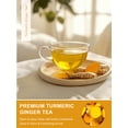 Teelixir Tumeric TeeLux, Turmeric Ginger Tea Bags, 100 Count, Spicy & Smooth Flavor ...