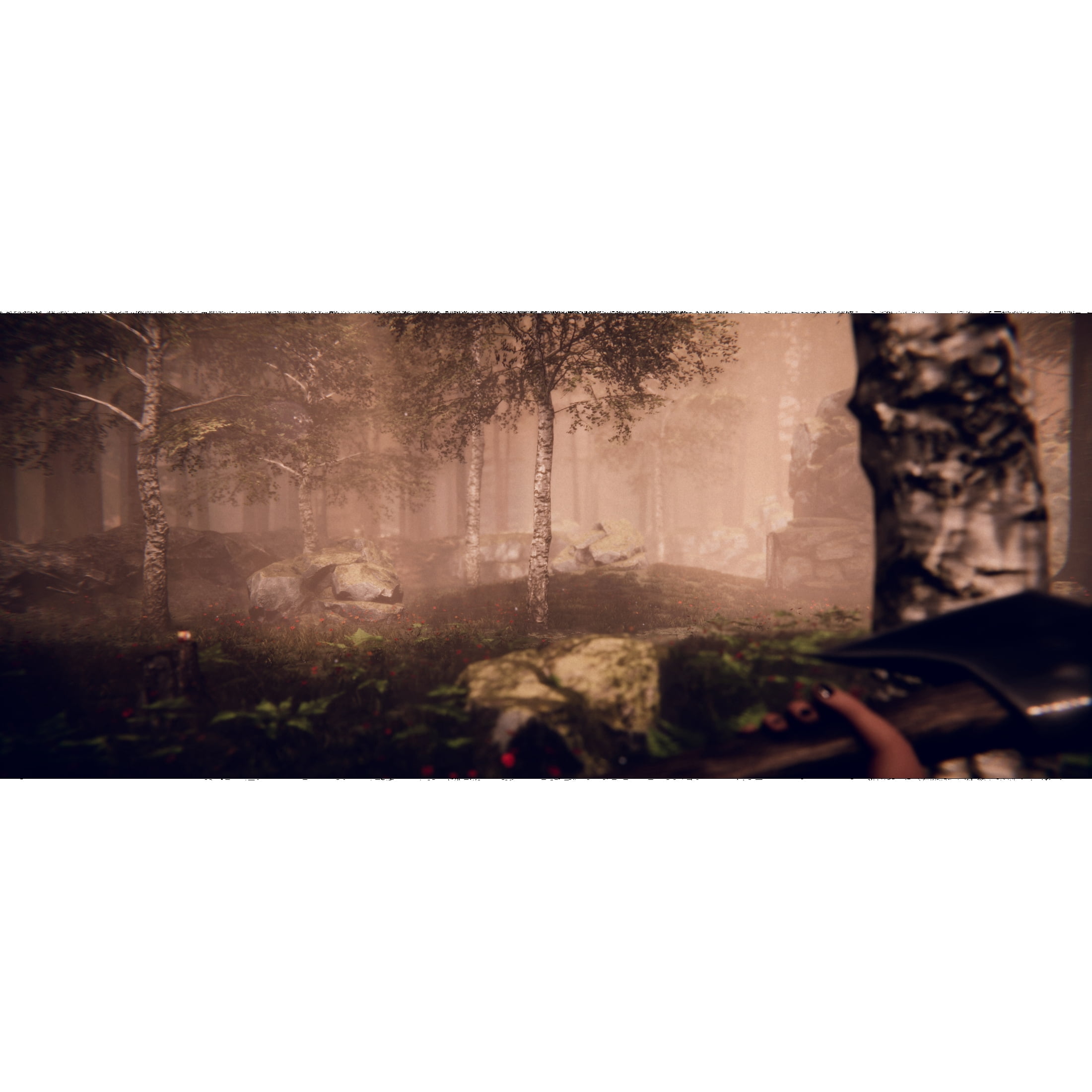Project Songbird - PlayStation 5 Game