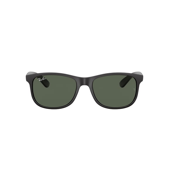 Ray-Ban RB4202 ANDY Sunglasses For Men For Women
