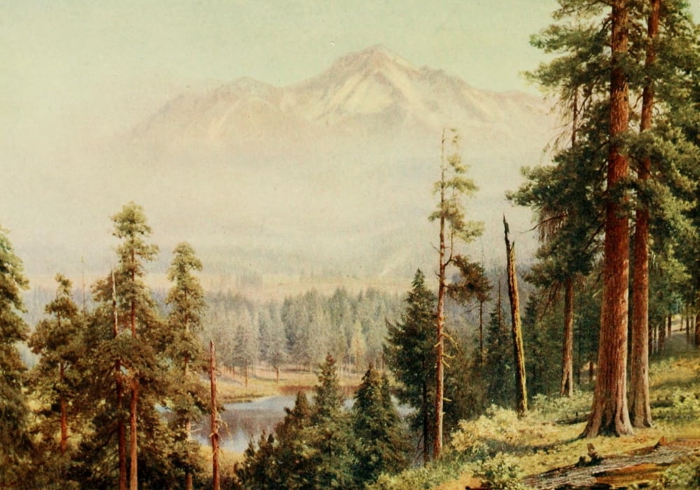 California 1914 Sha