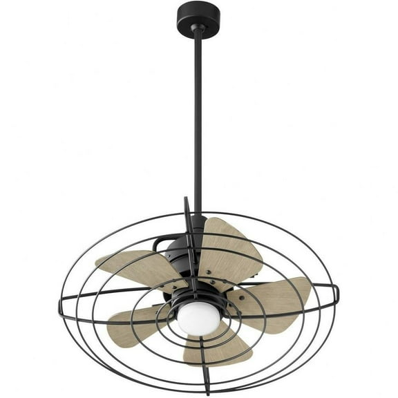 5 Blade Patio Fan with Light Kit in Industrial Style-21 inches Tall and 24 inches Wide Bailey Street Home 183-Bel-4636638