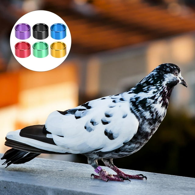 CRILSTYLEO 18Pcs Pigeon Leg Bands Aluminum with Assorted Colors Durable Rings for Racing and Aviary Birds