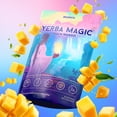 thumbnail image 3 of Barritas de yerba mate en polvo Brainista Yerba Magic Peach Mango, 3 of 9
