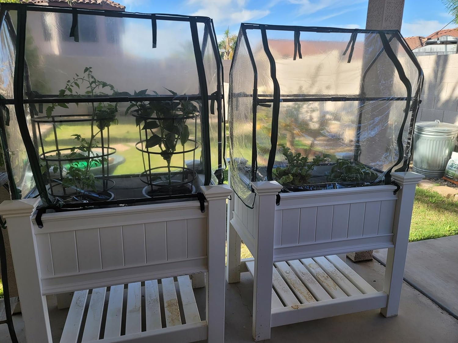 Gardzen Mini Greenhouse 36" x 19" x 33", Portable Small Greenhouse with Zippered Door for Seed Starting, Seedlings and Winter Protection