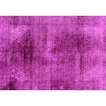 Ahgly Company Indoor Rectangle Oriental Pink Traditional Area Rugs, 5' x 7'