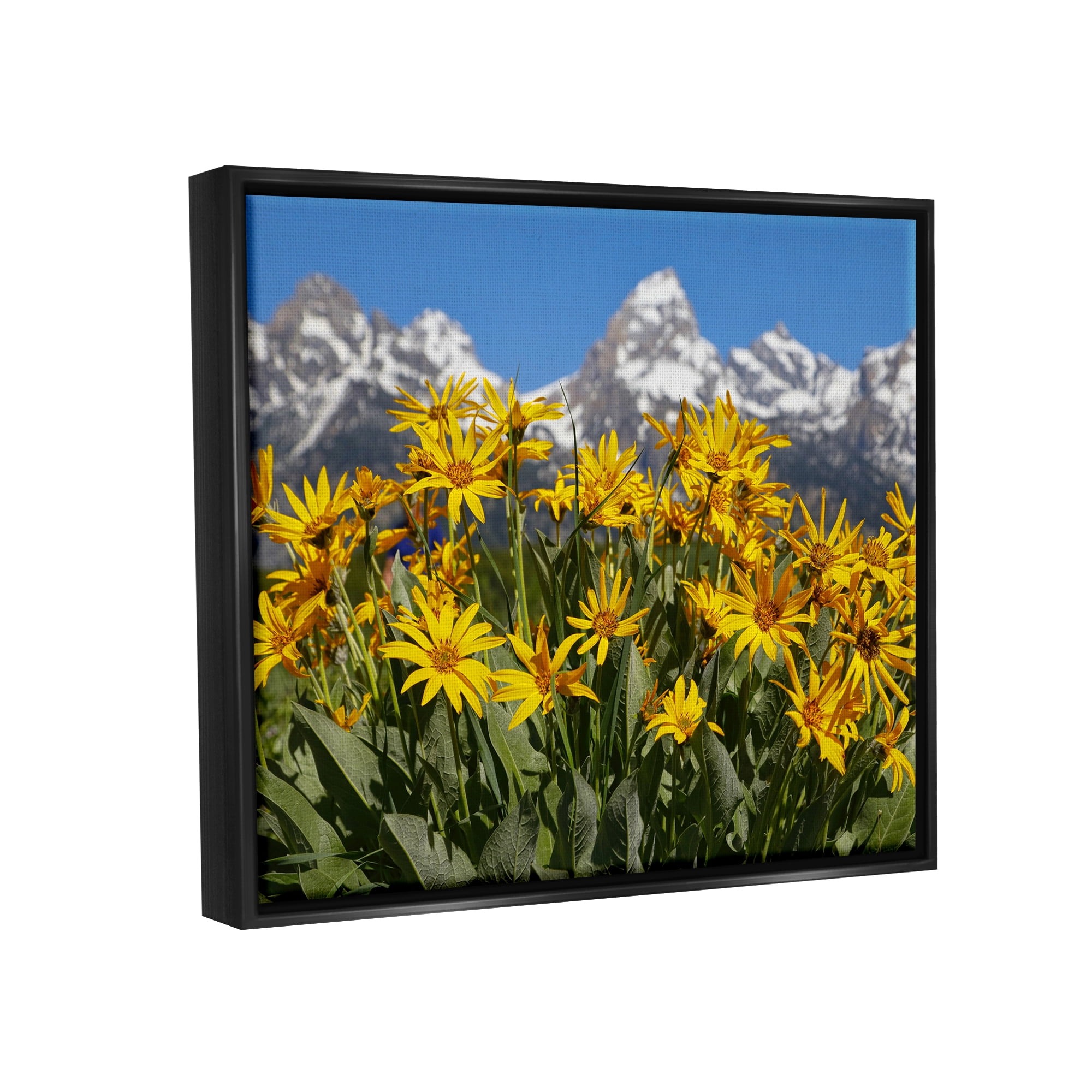 Stupell Industries Daisy Meadow & Mountains Landscape Photography Black Floater Framed Canvas Art Print Wall Art, 21 x 17