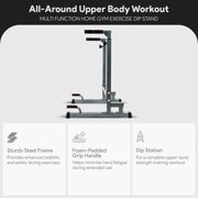 BalanceFrom Multi-Function Dip Stand, Steel, 500-Pound Capacity, Gray, Exercise Power Stand