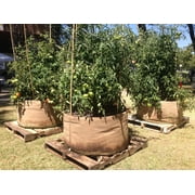 SMART POT 3 Gallon Fabric Grow Bag - Natural