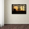 thumbnail image 3 of Trademark Fine Art 'Shadow Light' Canvas Art by Philippe Hugonnard, 3 of 3