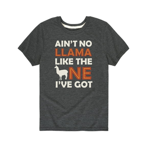 Instant Message - Aint No Llama  - Youth Short Sleeve Tee