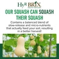 thumbnail image 3 of HyR BRIX Vegetable Fertilizer 4-7-9, 3 of 7