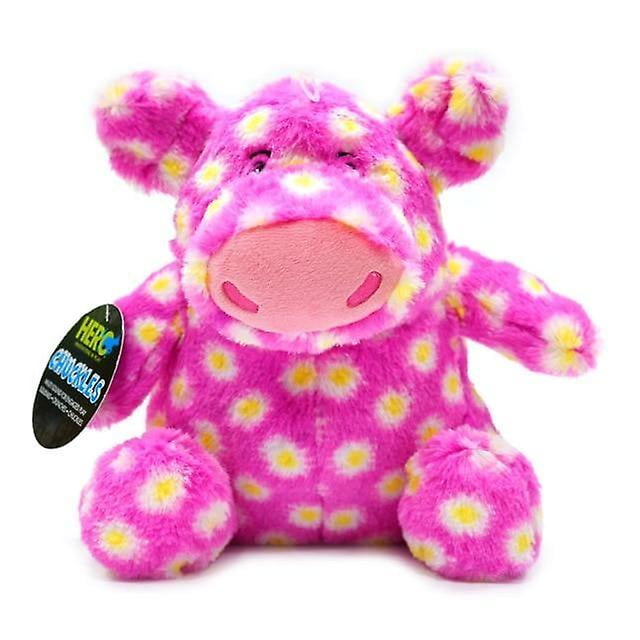 Dog squeaky plush toys