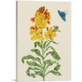 thumbnail image 1 of ARTCANVAS Wallflower With Blue Butterfly 1705 Canvas Art Print by Maria Sibylla Merian - Size: 40" x 26" (1.50" Deep), 1 of 9