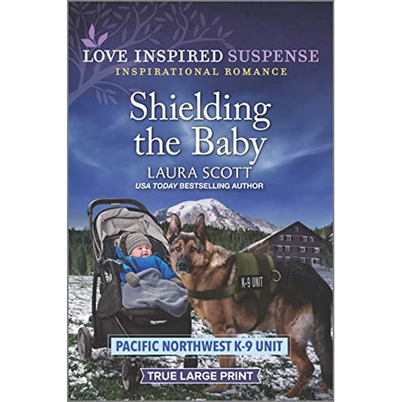 Pre-Owned Shielding the Baby (Paperback) 1335588906 9781335588906