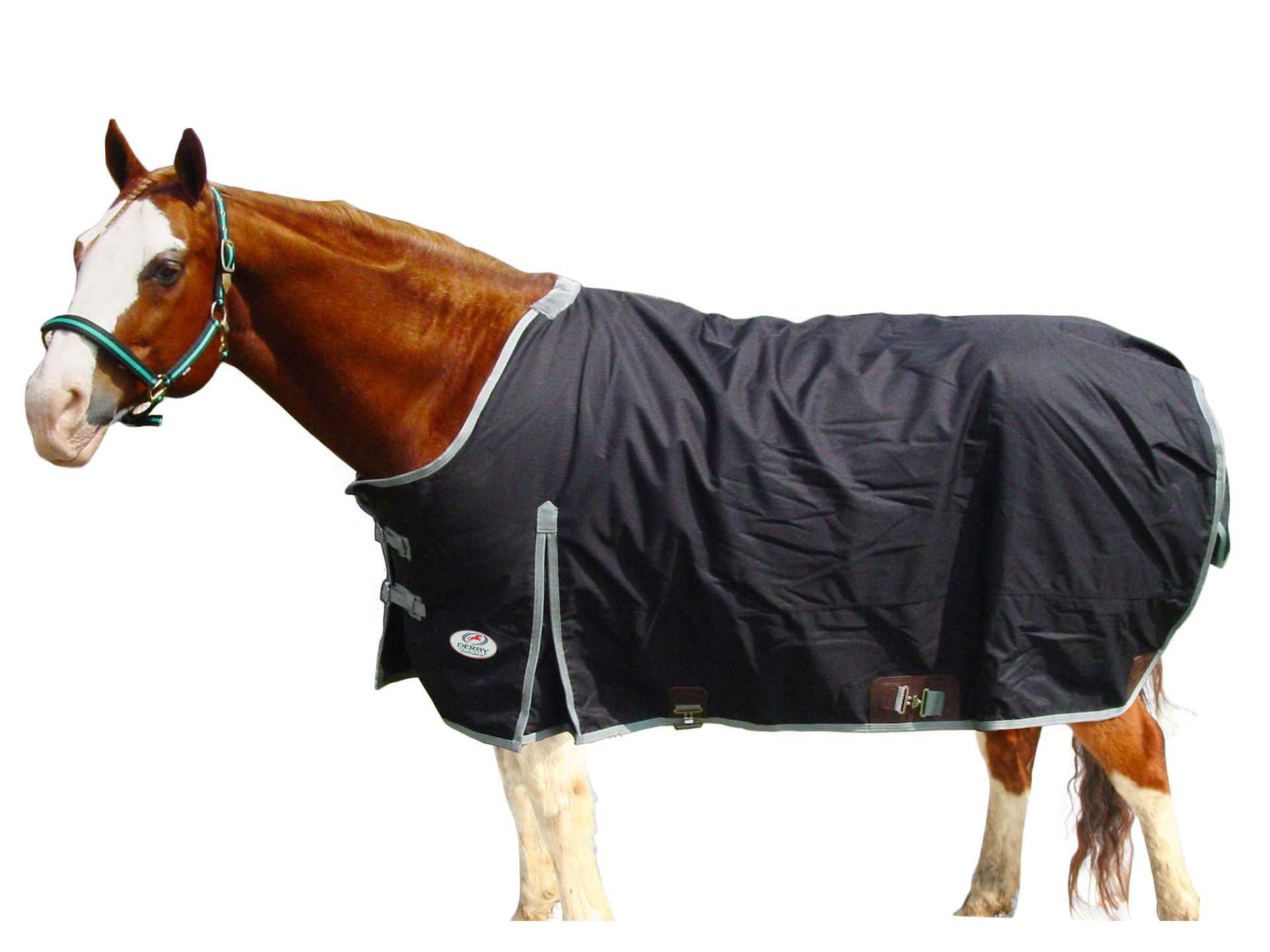 Score Big this Winter with Our Ultimate Turnout Blanket Guide for ...