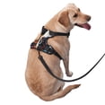 thumbnail image 2 of Vsdgher Cow Pattern Dog Harness,No Pull Pet Harness with Soft Padded Handle,Adjustable Reflective Vest with 2 Buckles,4 Slide Buckles,S-XL Medium, 2 of 5