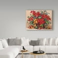 thumbnail image 3 of Trademark Fine Art 'Festive Poinsettia Basket' Canvas Art by Barbara Mock, 3 of 3