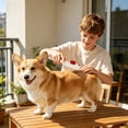 thumbnail image 4 of FEOLGEHLY Flea Comb for Dogs Cats - Fine Tooth Pet Grooming Comb Removes Fleas, Undercoat, and Tangles - Ergonomic, Lightweight, Durable Stainless Steel Comb for All Hair Types (White), 4 of 6