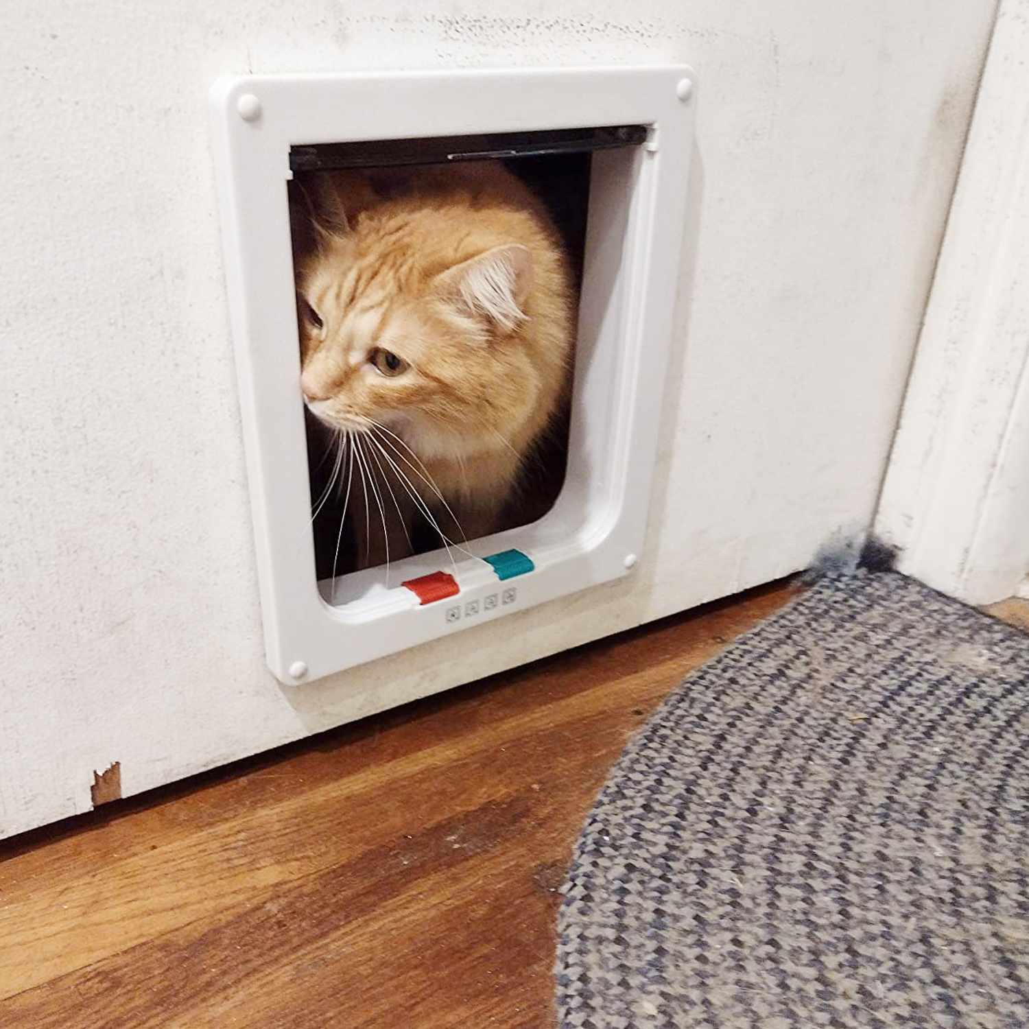 Dinosam Extra Large Cat Door, 4-Way Locking, Weatherproof, White photo 2